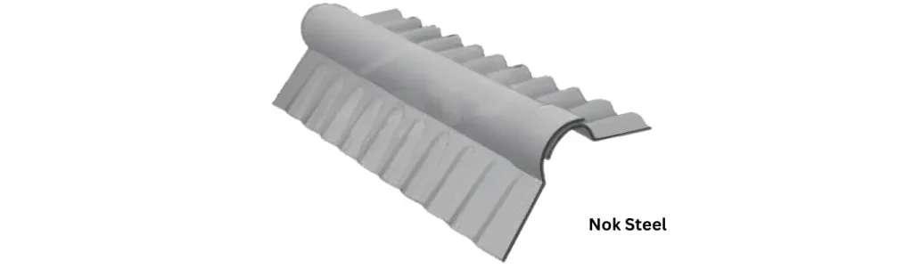 ns1